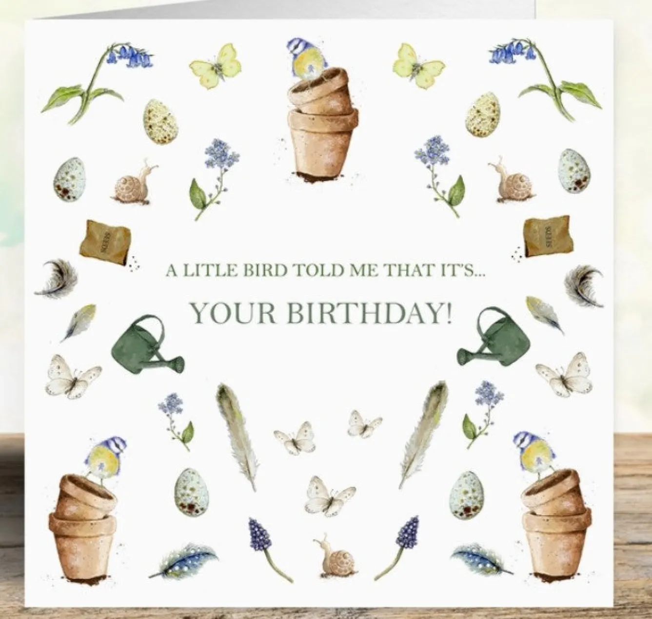 West Country Designs 'A Little Bird Told Me' Birthday Card- Greeting Cards|Gardening