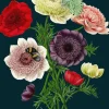 Madame Treacle Anemones Greetings Card- Greeting Cards