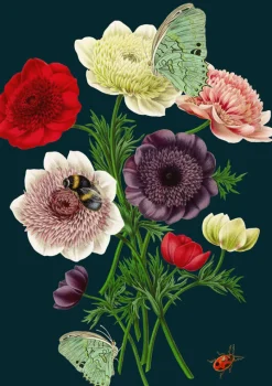 Madame Treacle Anemones Greetings Card- Greeting Cards