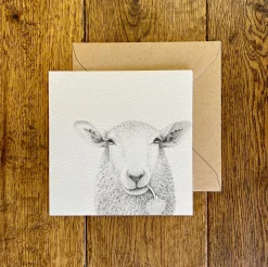 Katherine Sheard Designs Baaley Greetings Card- Greeting Cards