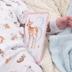 Wrendale Designs Baby Animals Milestone Cards- Children