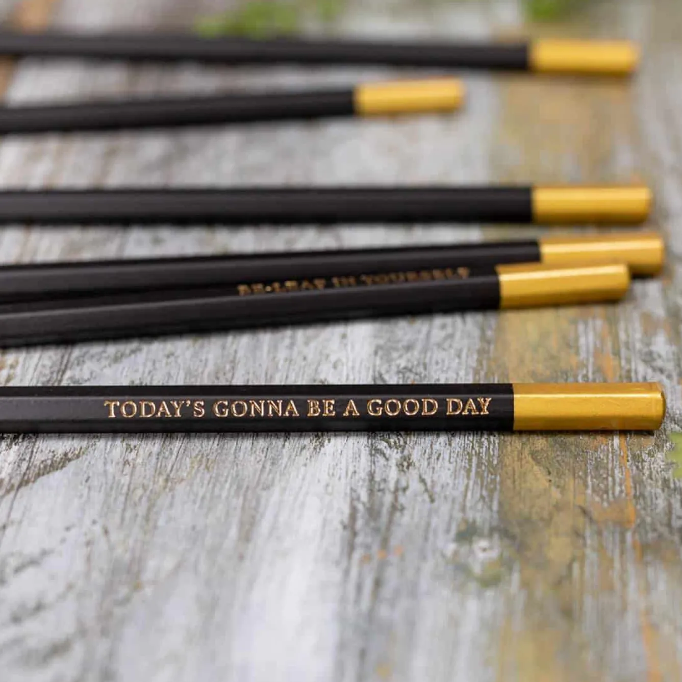 Toasted Crumpet Bees & Honeysuckle Set of 6 Pencils- Stationery