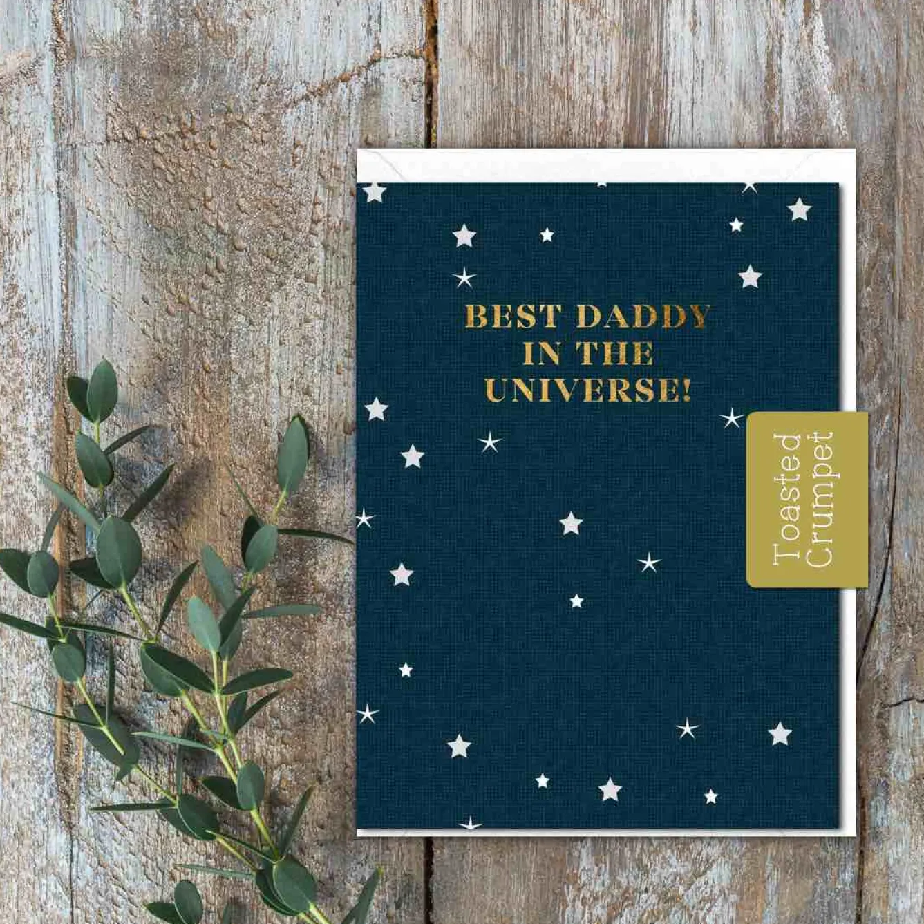 Toasted Crumpet Best Daddy in the Universe Greetings Card- Father's Day|Greeting Cards