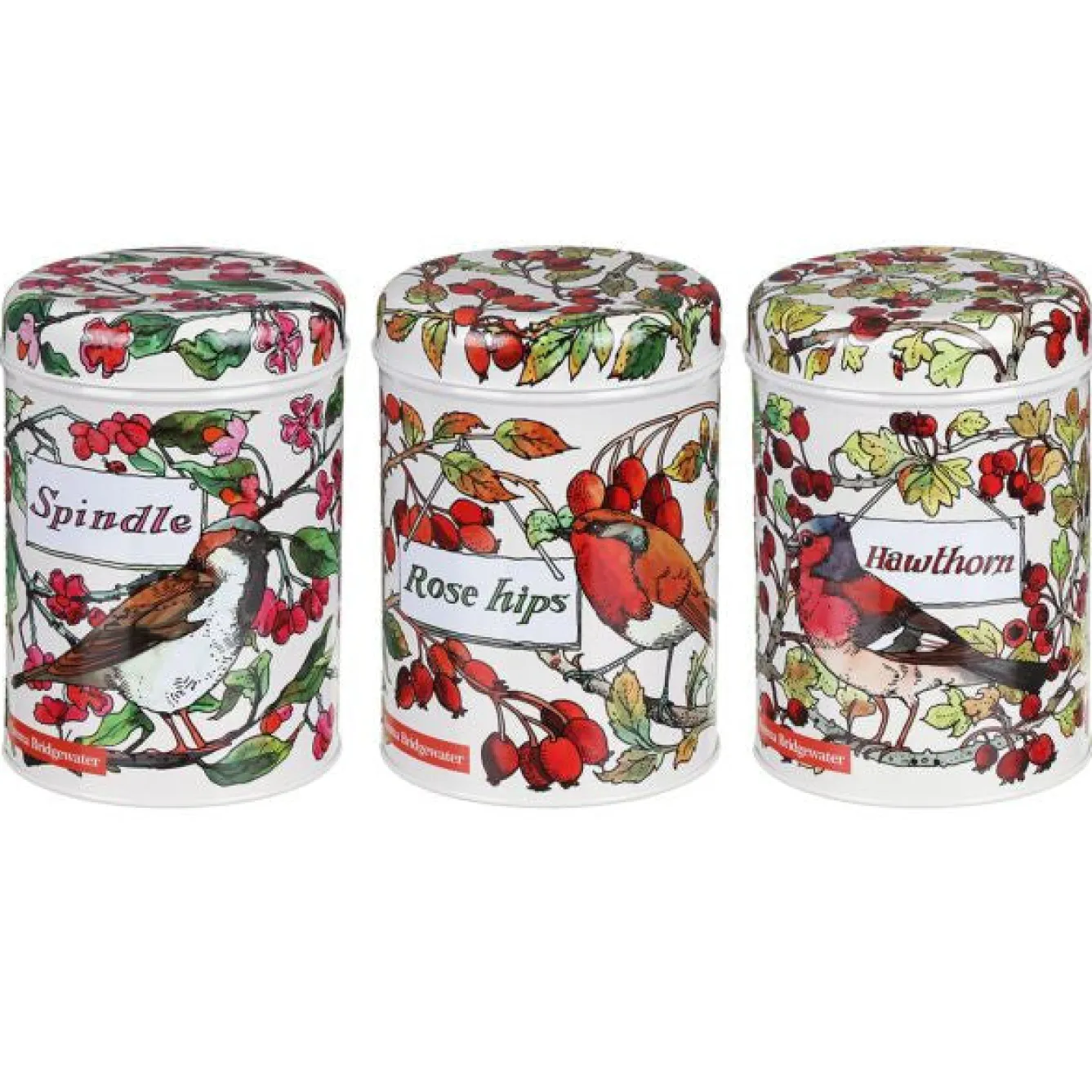 Emma Bridgewater Birds in the Hedgerow Set of 3 Round Caddies- Storage Caddies|Storage