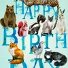 Madame Treacle Birthday Animals Greetings Card- Greeting Cards