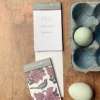 Thornback & Peel Blackbird & Bramble Mini Notepad- Stationery