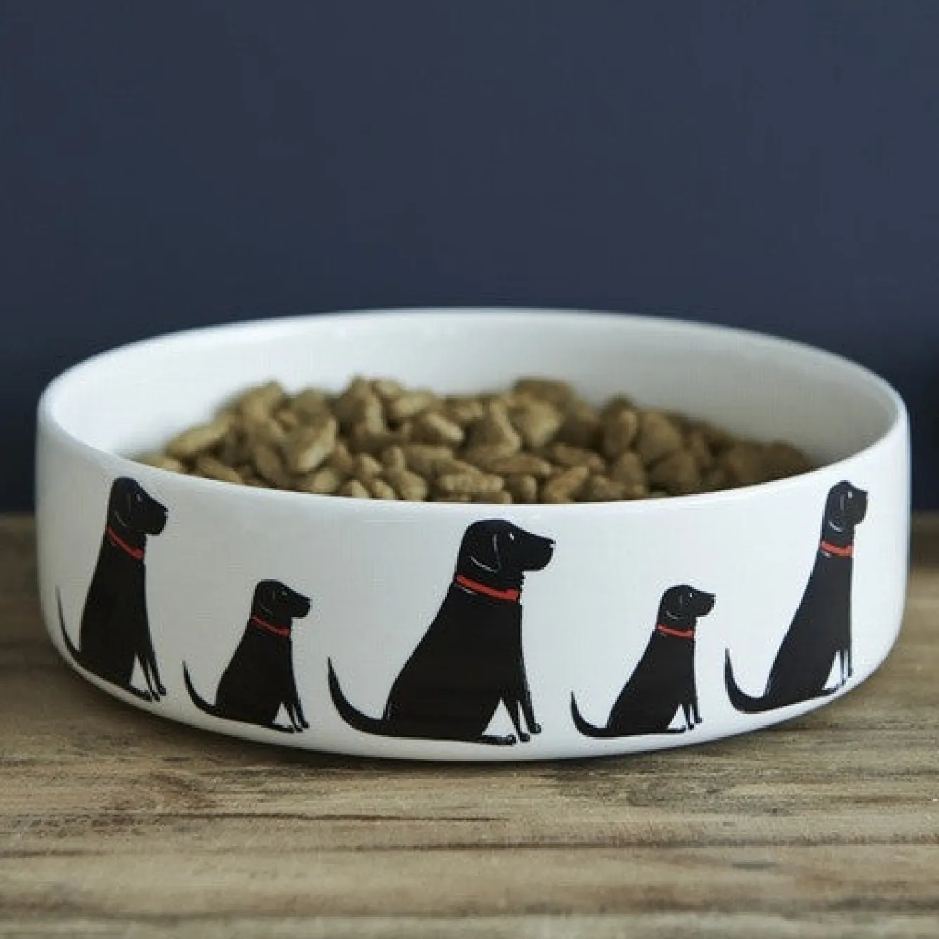 Sweet William Black Labrador Dog Bowl Boxed- Pets
