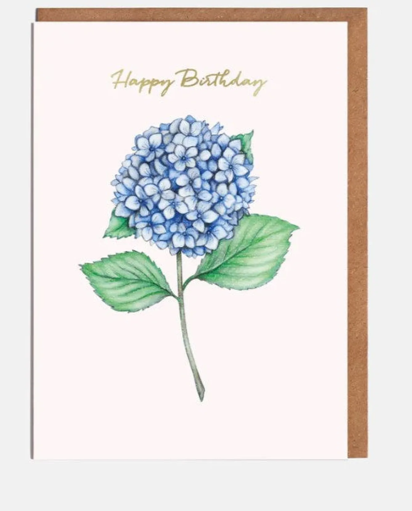 Lottie Murphy Blue Hydrangea Birthday Card- Gardening