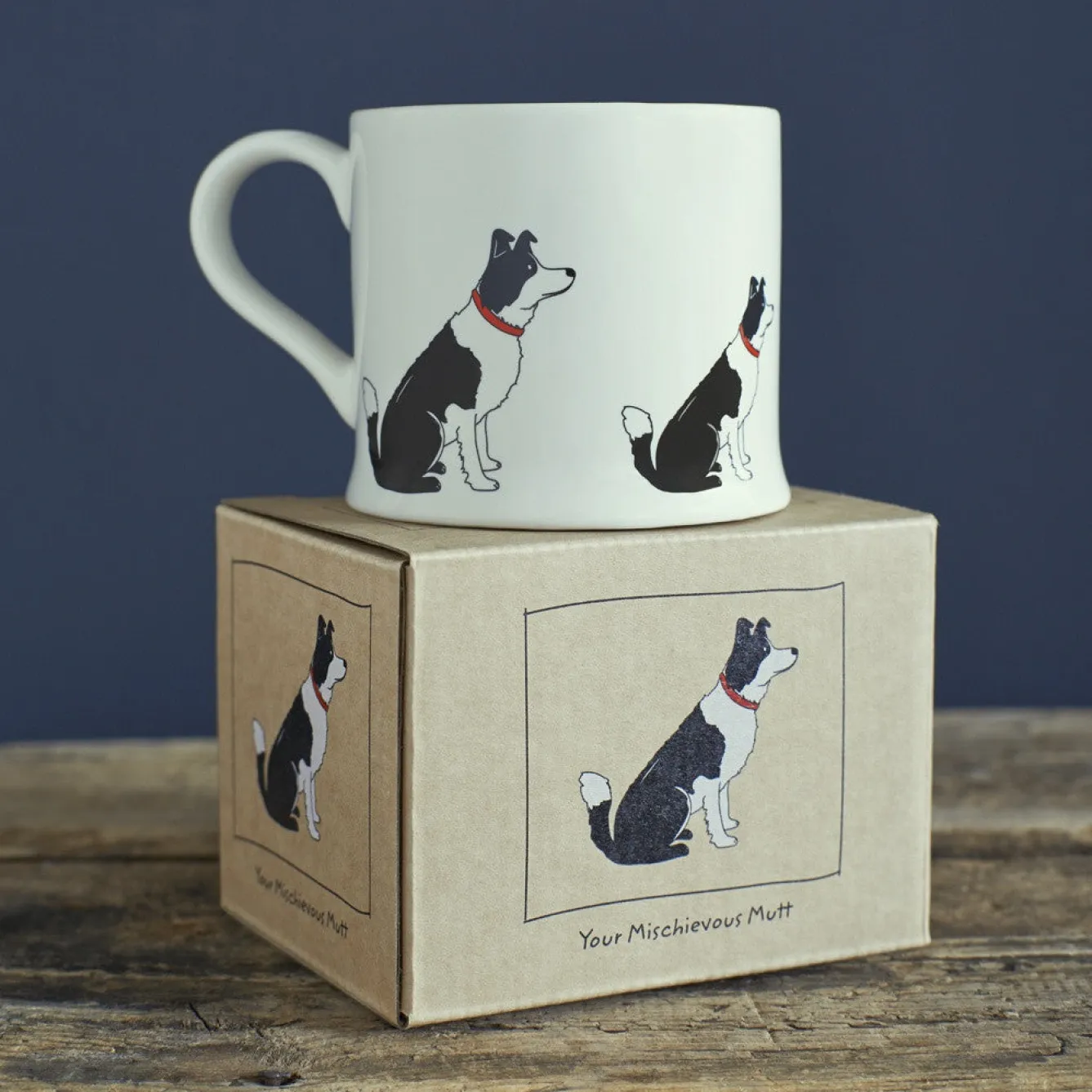 Sweet William Border Collie Mug Boxed- Pets|Pets