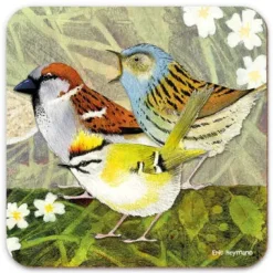 Emma Ball British Birds 4  Coaster- Tea|Coasters