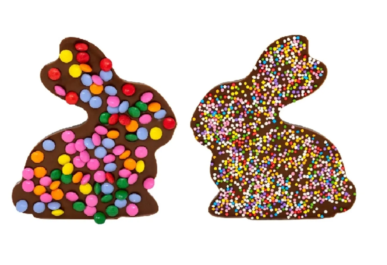 Cocoba Bunny Shaped Easter Chocolate Bar Set- Easter