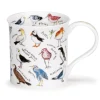 Dunoon Bute Birdlife Coastal Birds- Animals|Animals