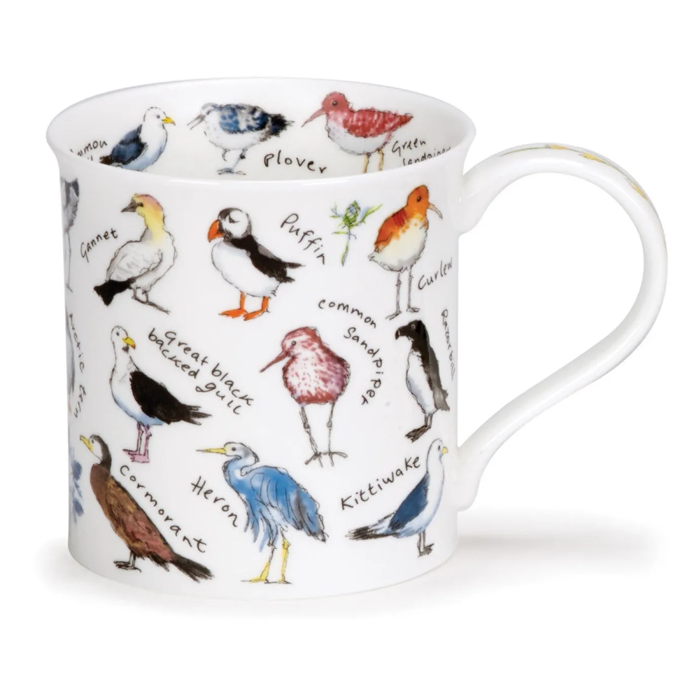 Dunoon Bute Birdlife Coastal Birds- Animals|Animals