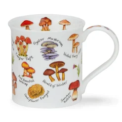 Dunoon Bute Mushrooms & Toadstools Mug- Great Britain