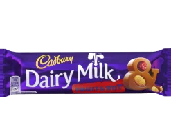 Cadbury Dairy Milk Fruit & Nut 49g- Tea|Chocolate