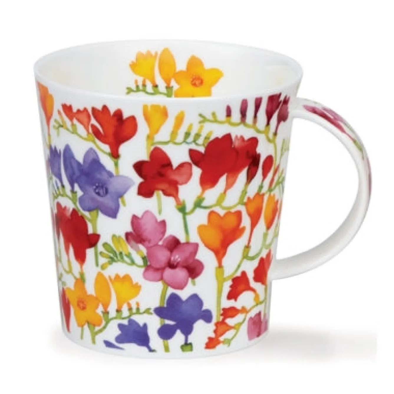 Dunoon Cairngorm Floral Fiesta Mug- Flowers & Garden