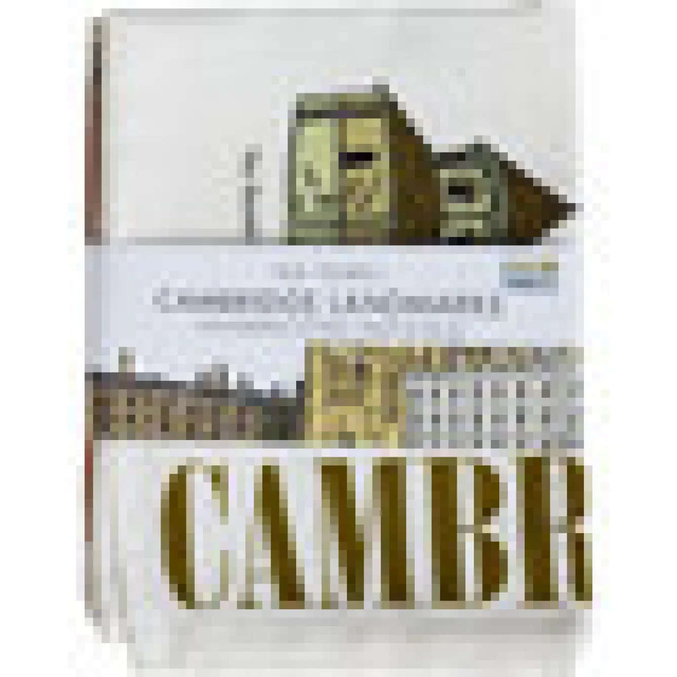 Town Towels Cambridge Landmarks Tea Towel- Tea|Tea Towels