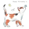 Paper Shed Design Cat with Butterflies "Happy Birthday" Greetings Card- Greeting Cards