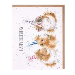 Wrendale Designs 'Celebrate in Style' Guinea Pig Birthday Card- Greeting Cards|Children