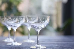 The Vintage List Champagne Saucer with Oval Design by- Glassware