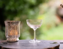 The Vintage List Champagne Saucer with Spears Design by- Glassware