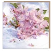 Paper Shed Design Cherry Blossoms by Dan O'Brien Greetings Card- Greeting Cards