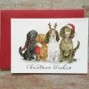 Ellie Hooi Illustration Christmas Spaniels Christmas Card- Christmas Cards|Greeting Cards