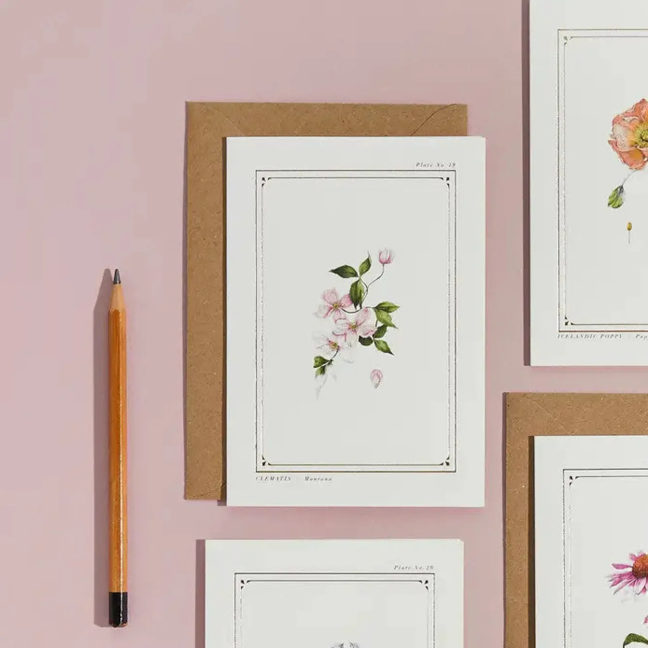 Catherine Lewis Clematis - 'Botanical Archive: Everyday Edition' - card- Greeting Cards
