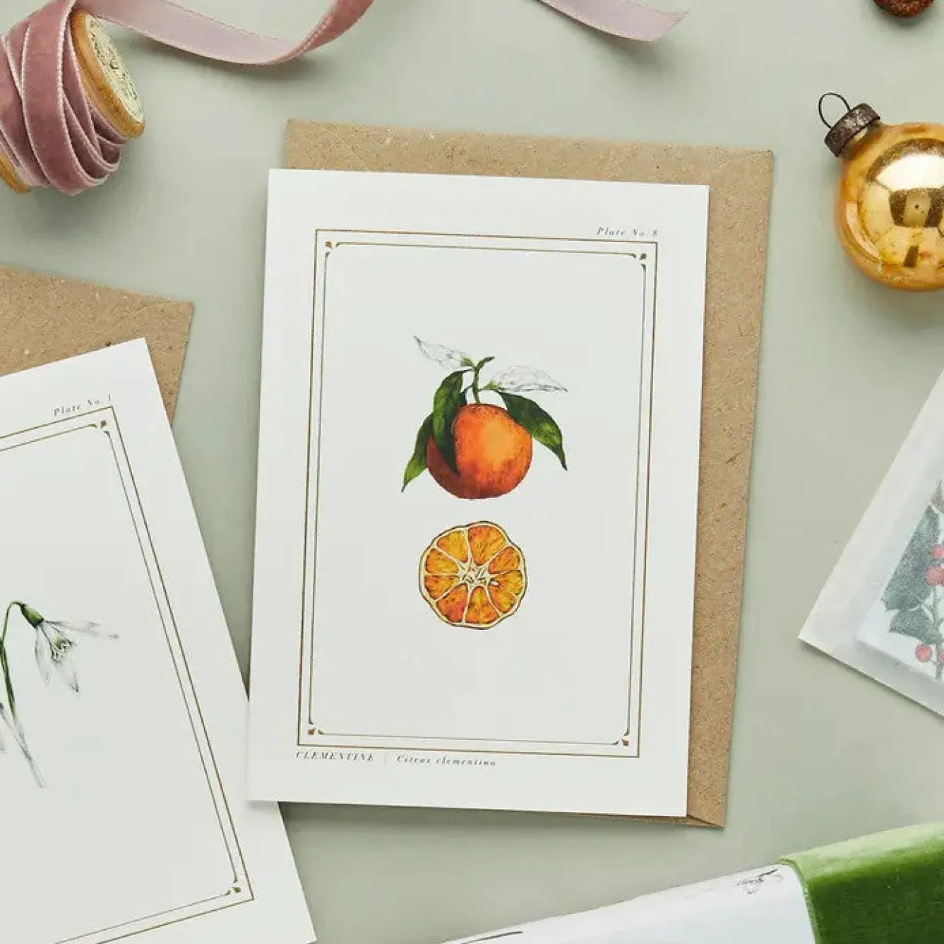 Catherine Lewis Clementine - 'Botanical Archive: Festive Edition' - card- Greeting Cards