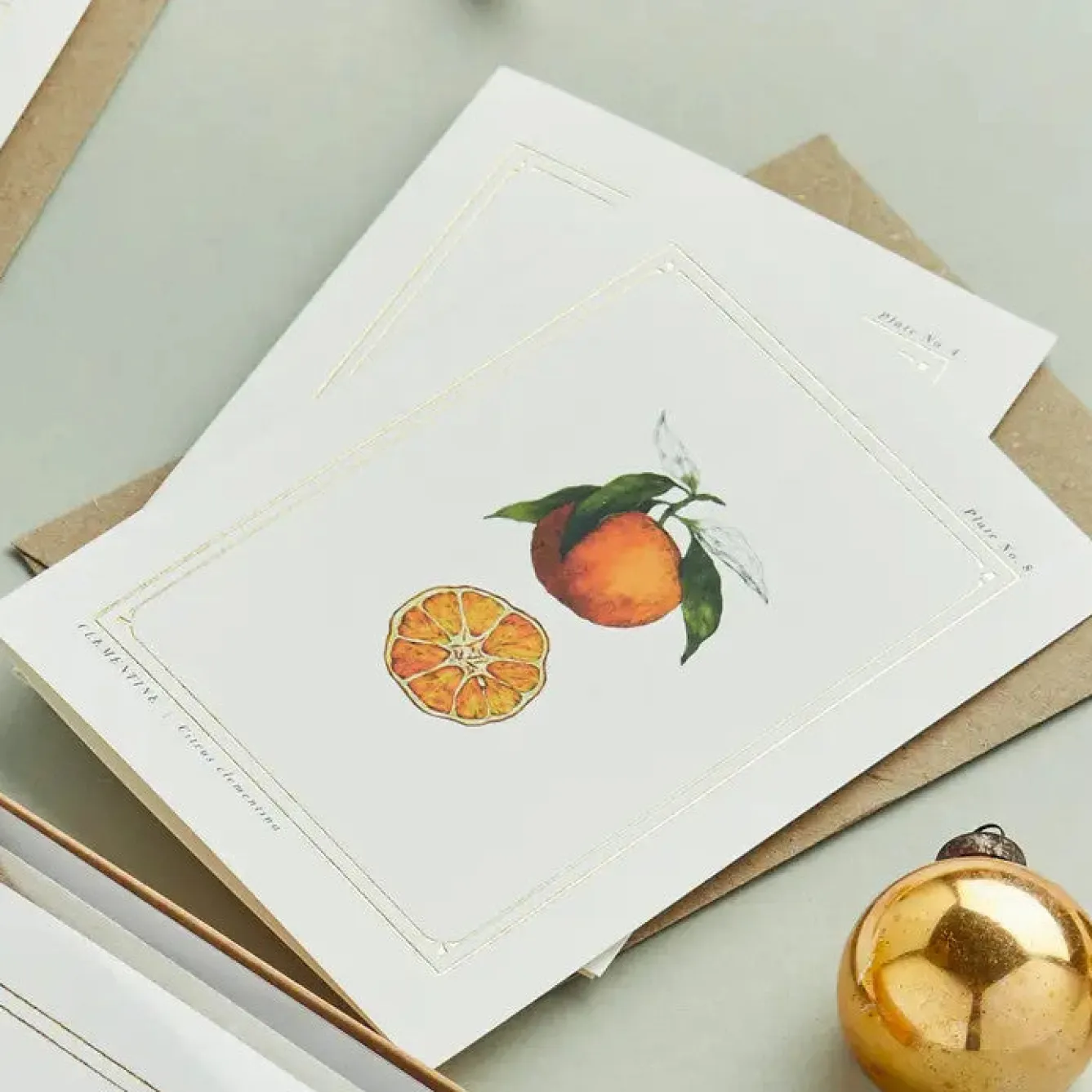 Catherine Lewis Clementine - 'Botanical Archive: Festive Edition' - card- Greeting Cards