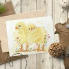 Jen Winnett Connie and Clyde the Chicks Blank Greetings Eco Card- Easter|Greeting Cards
