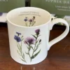 Sophia Davenport Cornflower and Knapweed Mug- Flowers & Garden