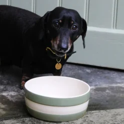 Cornishware Dog Bowl- Pets|Bowls & Dishes