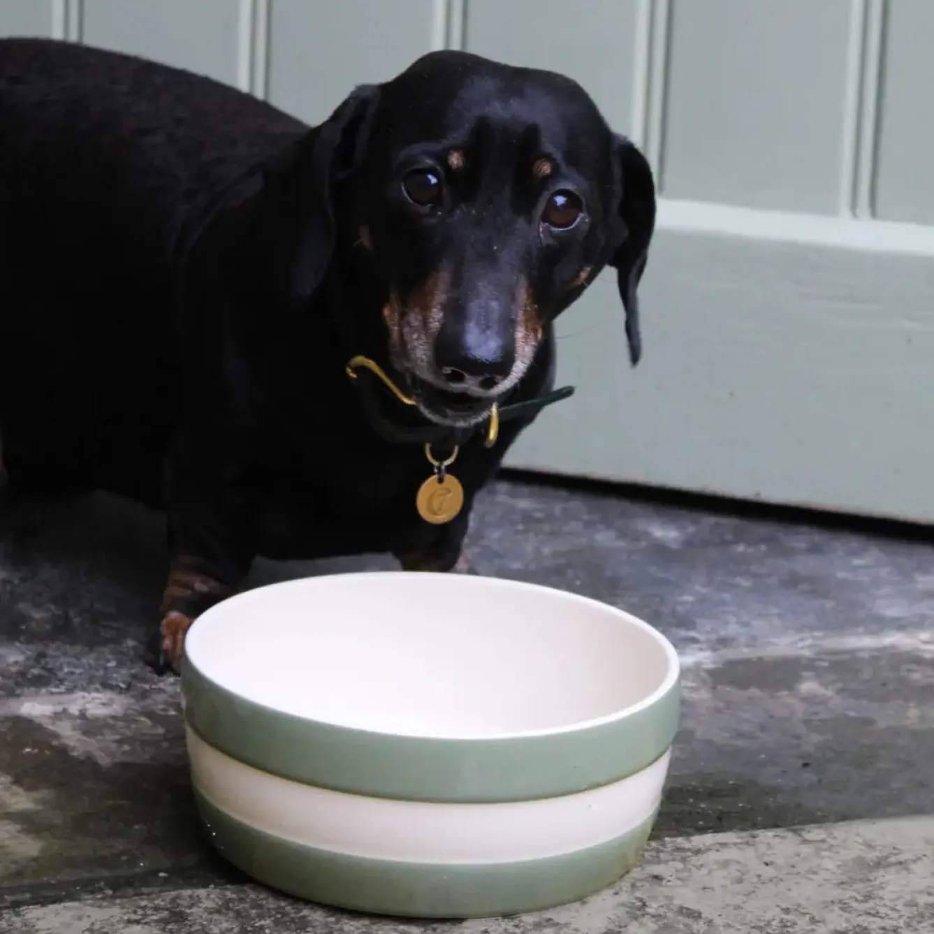 Cornishware Dog Bowl- Pets|Bowls & Dishes