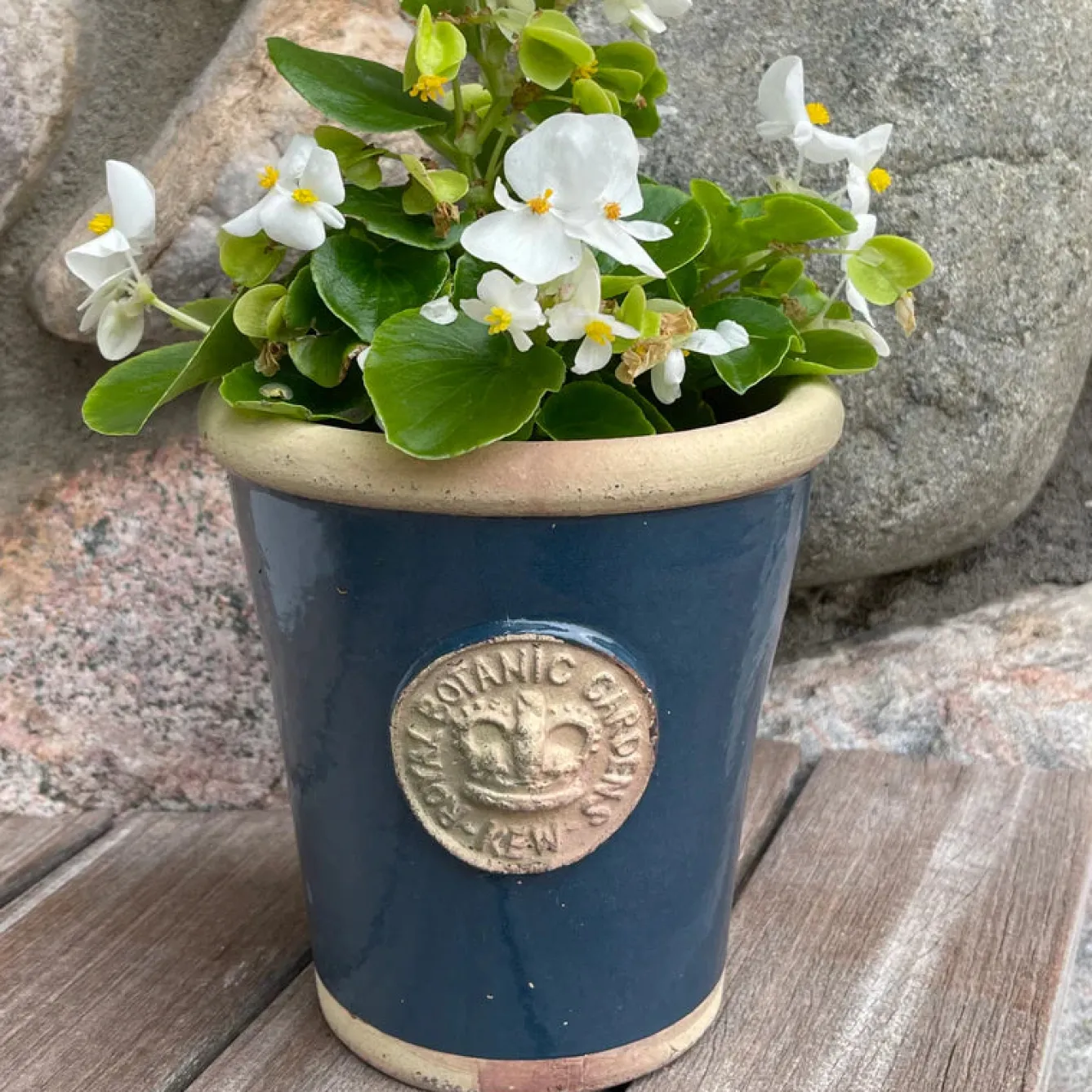 Kew Gardens Planters Cotswold Kew Long Toms Planter-- Small- Gardening