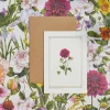 Catherine Lewis Dahlia - 'Botanical Archive: Everyday Edition' - card- Greeting Cards