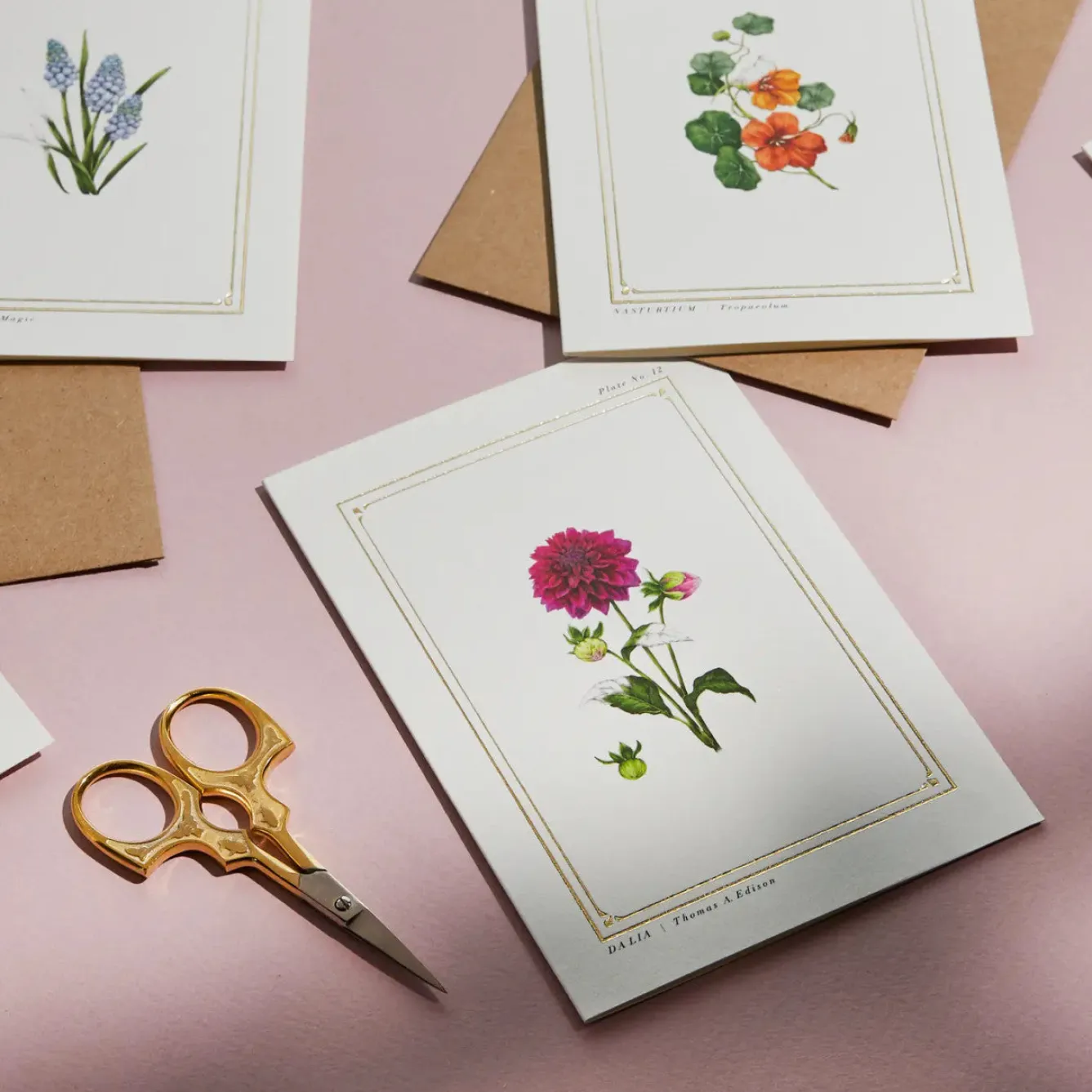 Catherine Lewis Dahlia - 'Botanical Archive: Everyday Edition' - card- Greeting Cards