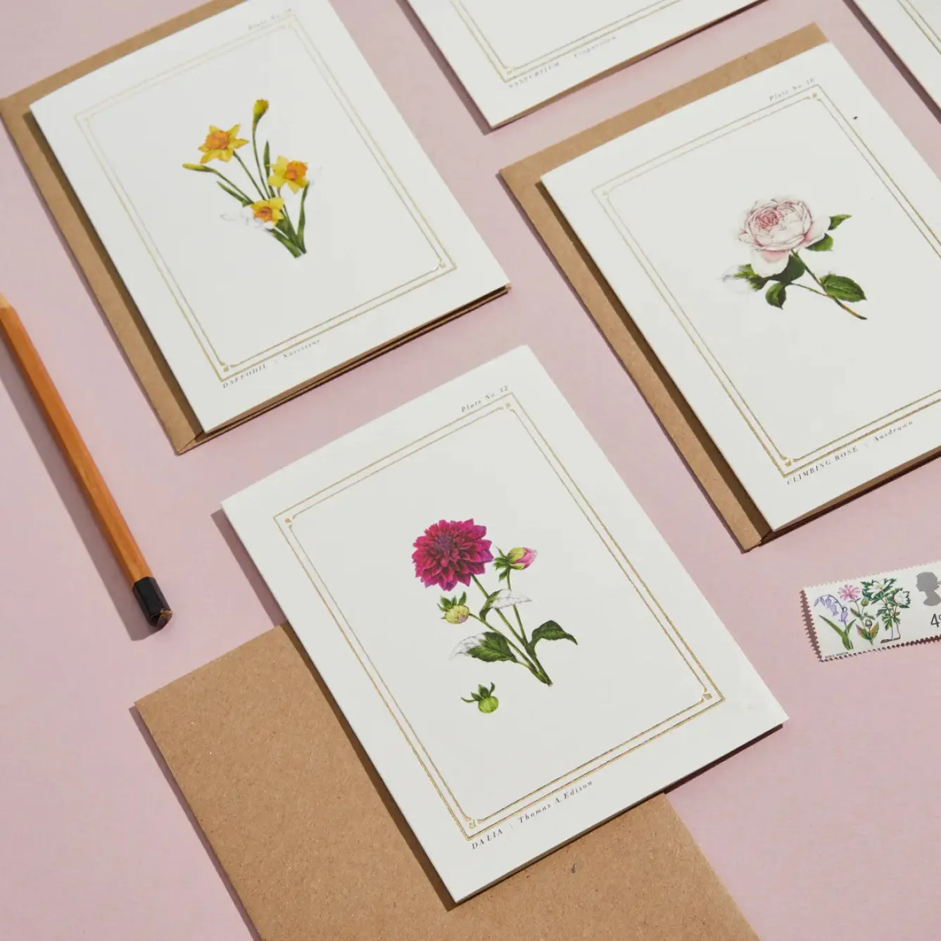 Catherine Lewis Dahlia - 'Botanical Archive: Everyday Edition' - card- Greeting Cards
