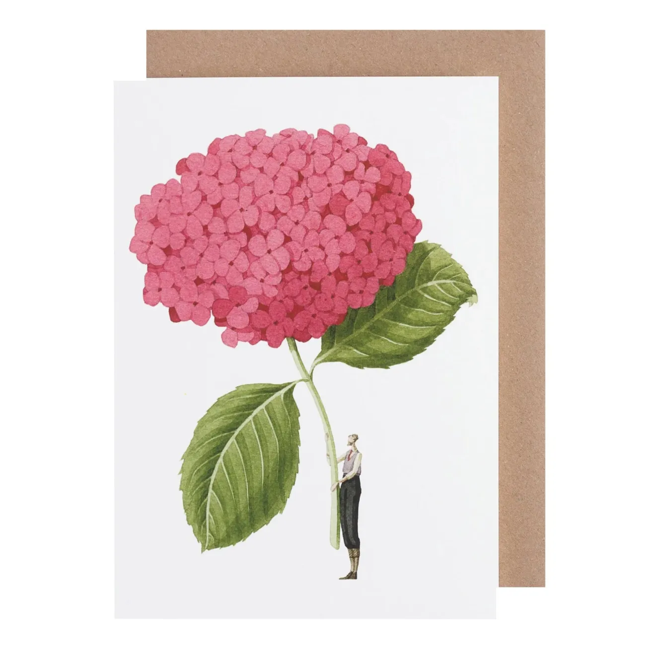 Laura Stoddart Dark Pink Hydrangea Blank Greetings Card- Greeting Cards