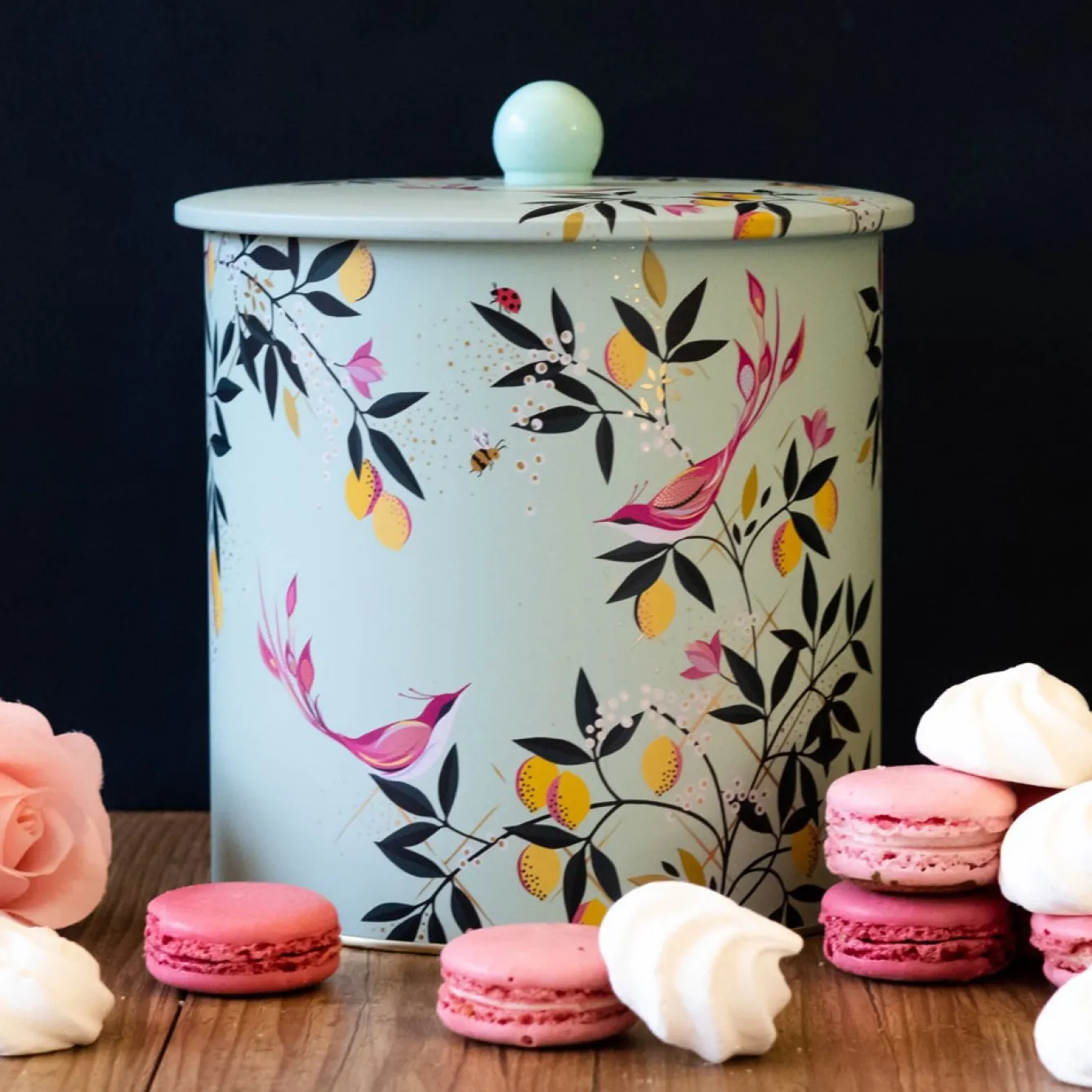 Sara Miller London Duck Egg Orchard Biscuit Barrel- Novelty|Storage