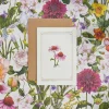 Catherine Lewis Echinacea - 'Botanical Archive: Everyday Edition' - card- Greeting Cards