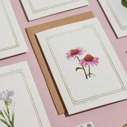 Catherine Lewis Echinacea - 'Botanical Archive: Everyday Edition' - card- Greeting Cards