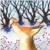 Emma Ball Fox and Robin Pack of 6 Christmas Cards- Christmas Cards|Christmas