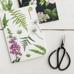 Catherine Lewis Foxglove & Ferns - card- Greeting Cards