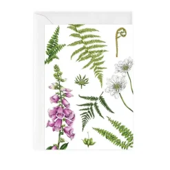 Catherine Lewis Foxglove & Ferns - card- Greeting Cards