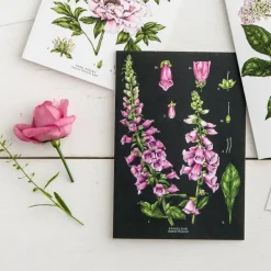 Catherine Lewis Foxglove - Black - card- Greeting Cards