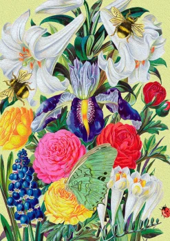 Madame Treacle From the Walled Garden Greetings Card- Greeting Cards