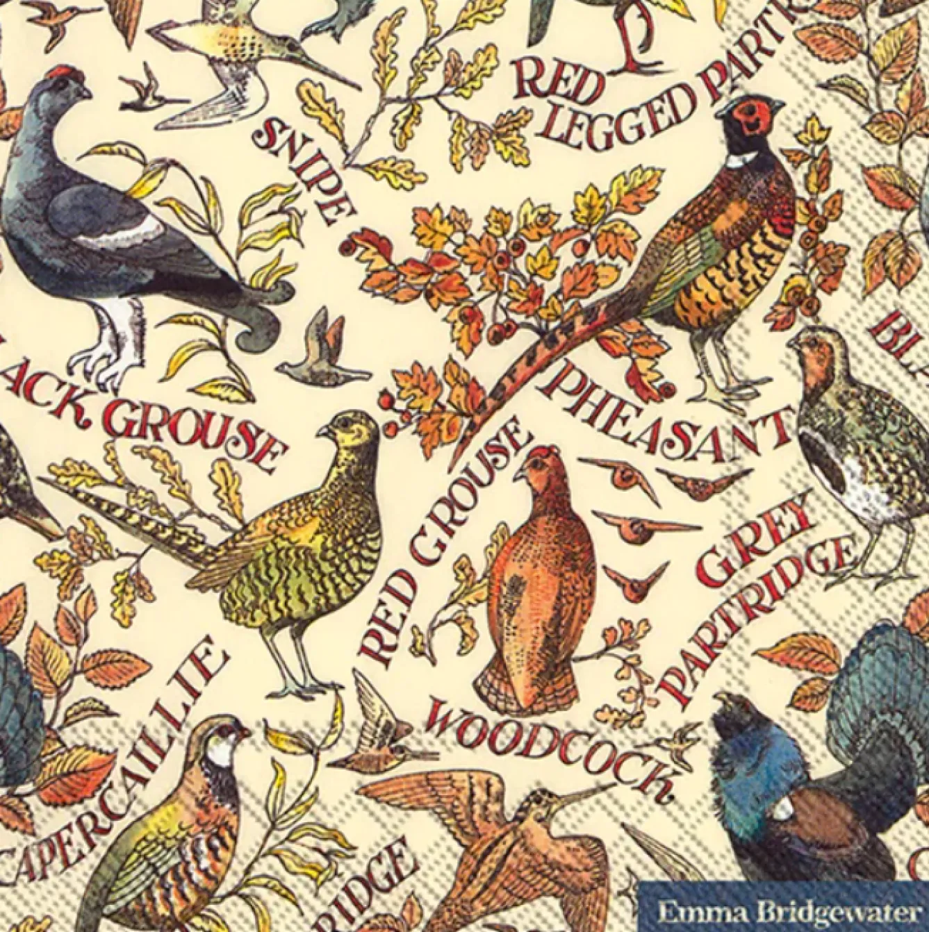 Emma Bridgewater Game Birds Paper Napkins- Picnic|Napkins