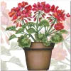 Emma Ball Geranium Greetings Card- Greeting Cards