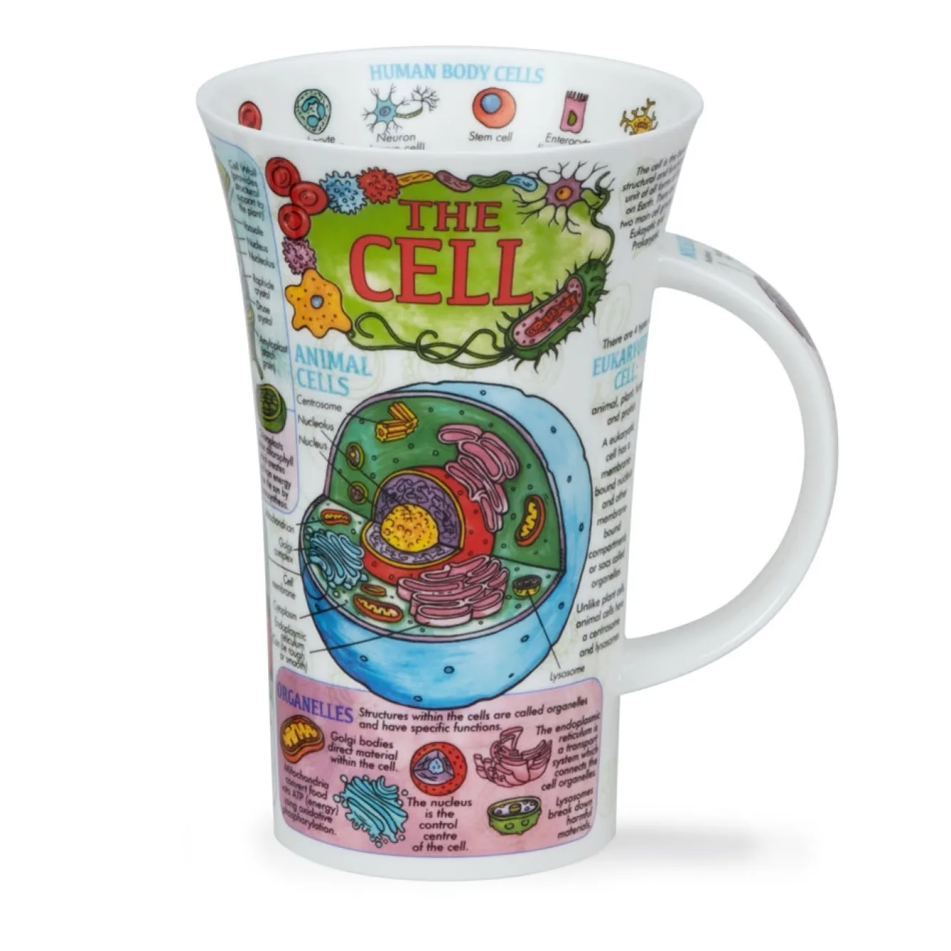 Dunoon Glencoe The Cell Mug- Informative